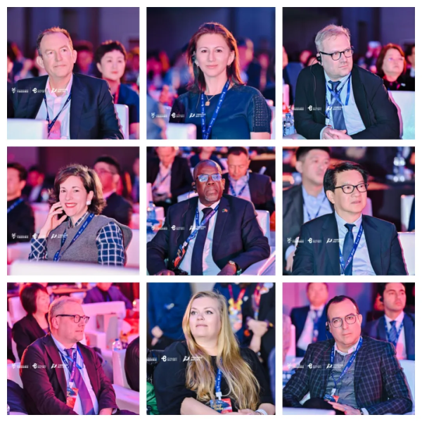 6386762156215864207810442 6386762156215864207810442